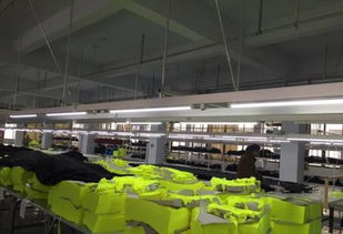 浙江大型服装厂分布与网络技术服务概述