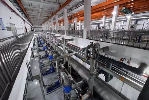 余杭再添生态新地标 全省首个大型湿地园林公园盛装开园